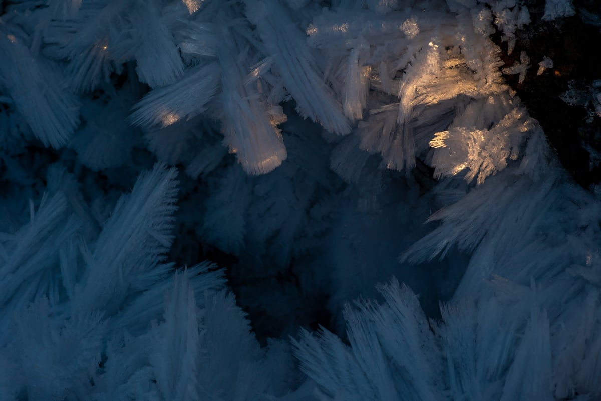 Scenic winter frost crystals on a frozen landscape